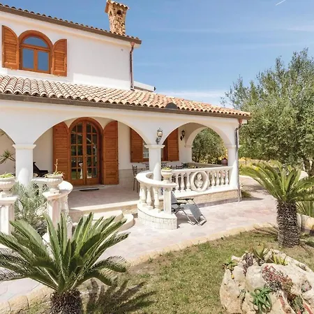 Gelsomino מרצאממי