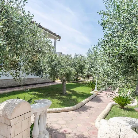 Gelsomino * מרצאממי