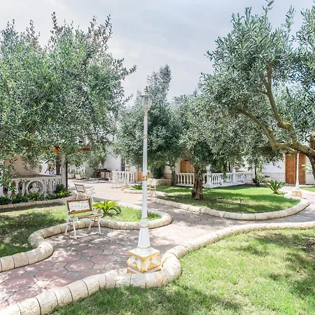 Gelsomino מרצאממי